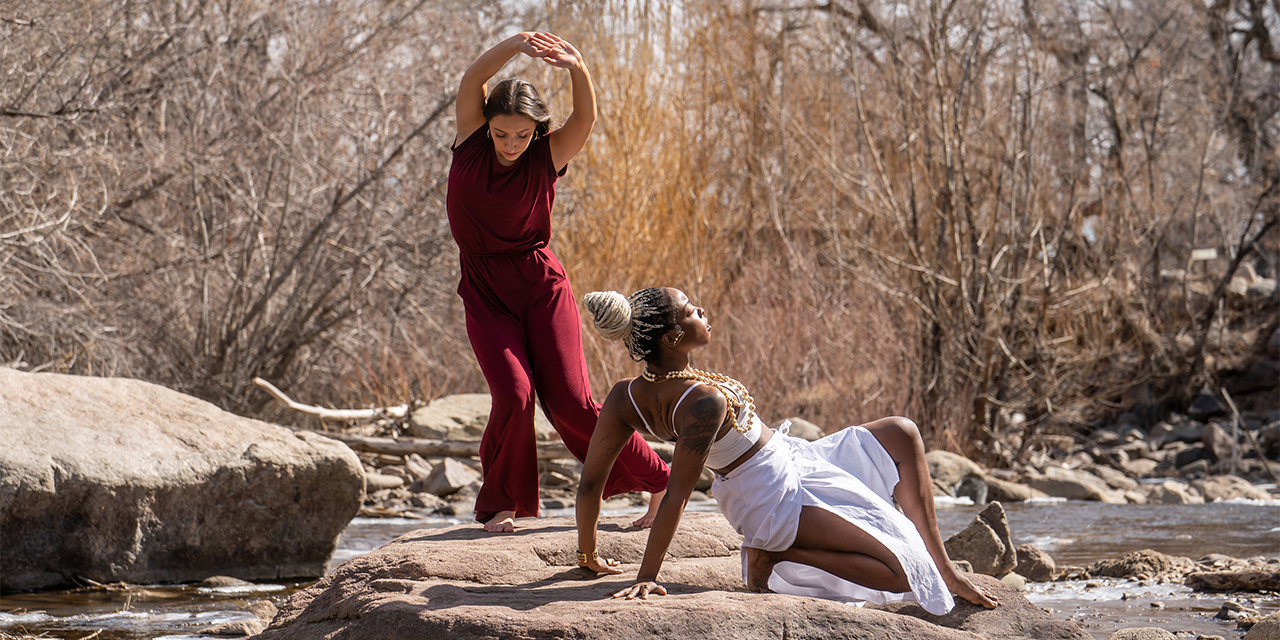 Roots and Reflections