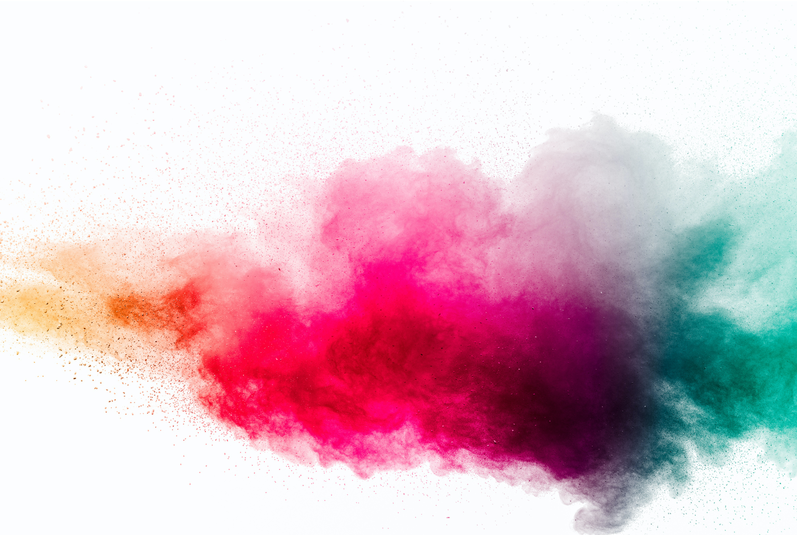 Concert Band and Campus Orchestra