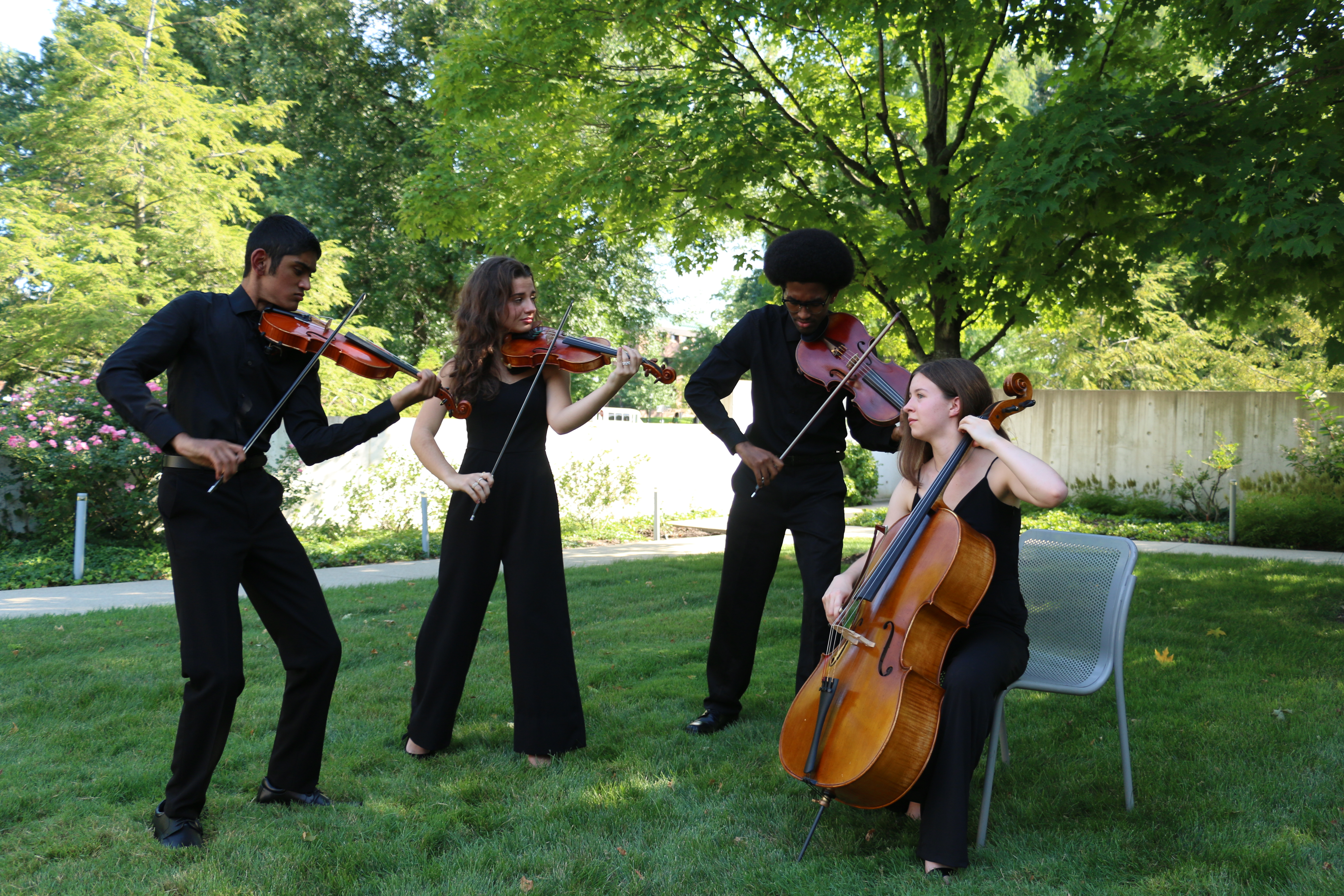 Sphinx Performance Academy