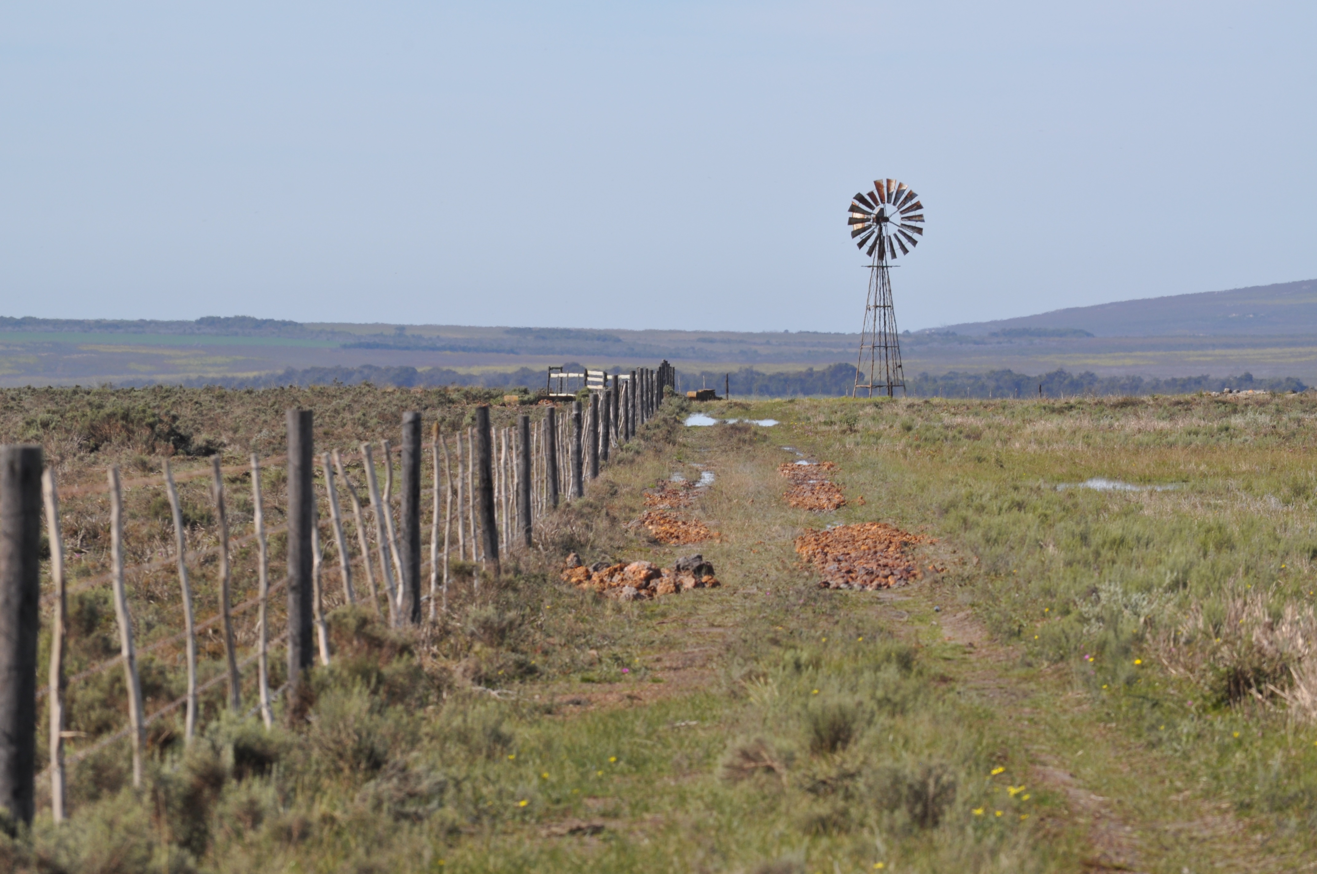 CU Philharmonia Orchestra