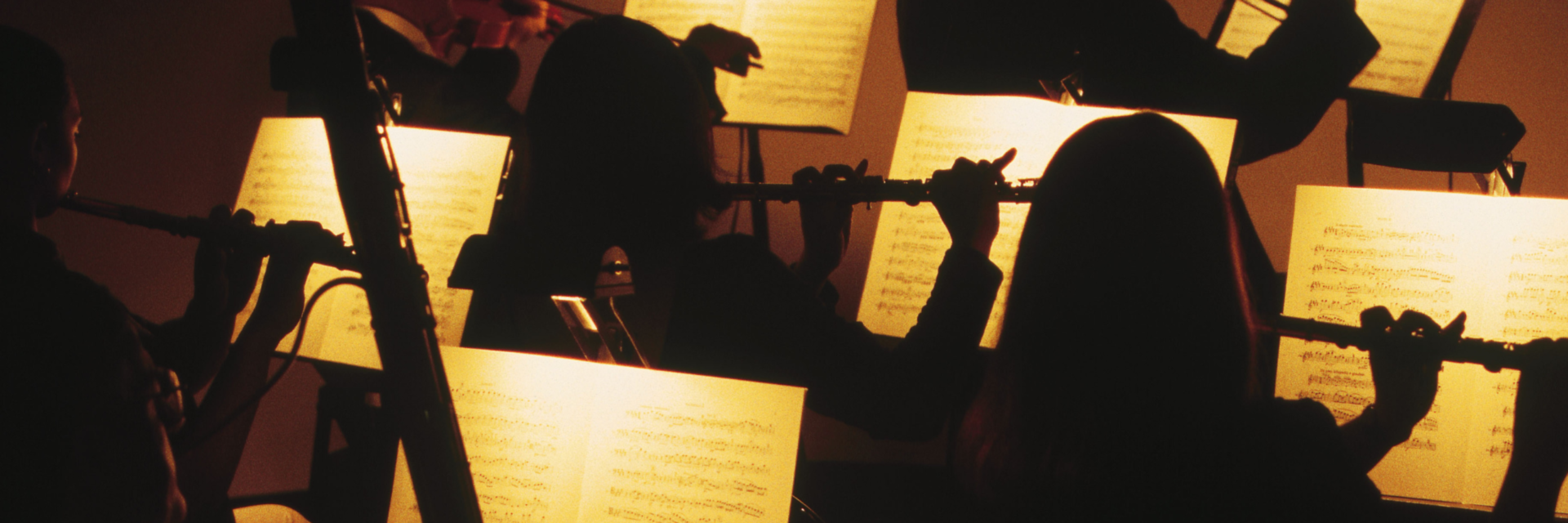 Concert Band and Campus Band