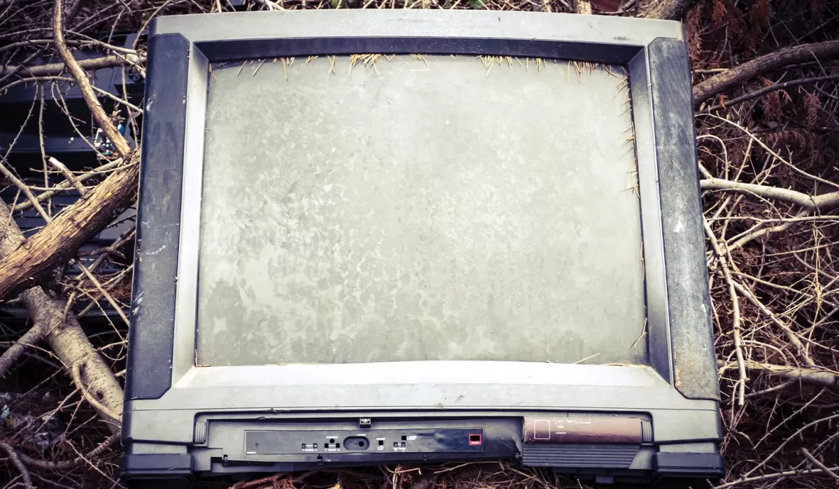 Mr. Burns, a post-electric play