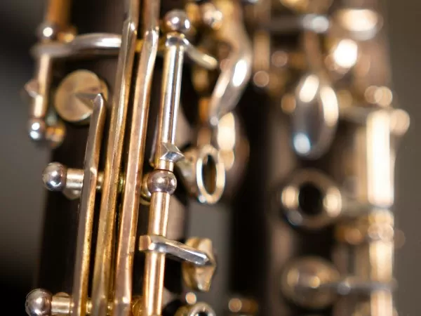 Wind Symphony and Symphonic Band