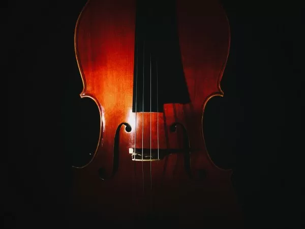 Close-up of a wooden cello illuminated against a dark background.