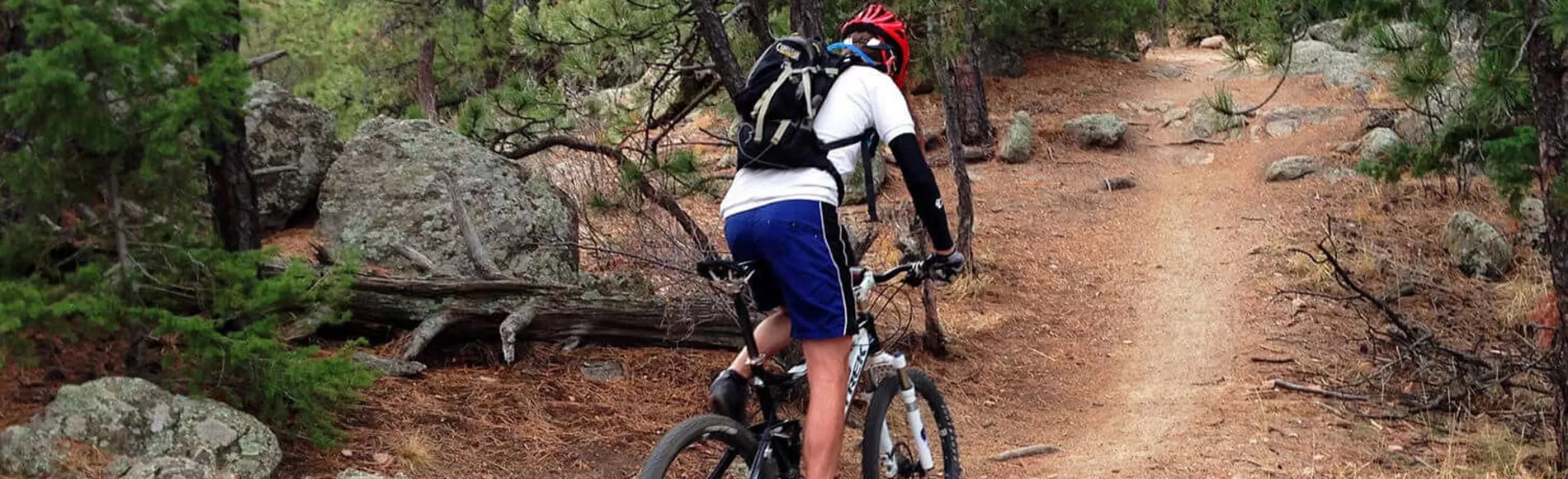A person on a mountain bike rides on a trail through the forest.
